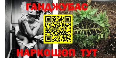 mix Брянск