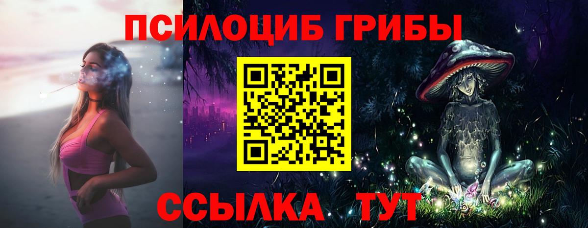Псилоцибиновые грибы Psilocybe  Вход с VPN  купить наркоту  Дедовск 